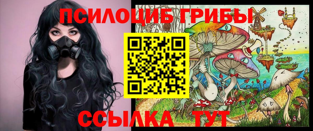 Псилоцибиновые грибы прущие грибы  Псилоцибиновые грибы Psilocybine cubensis  Вход с VPN  Муравленко 