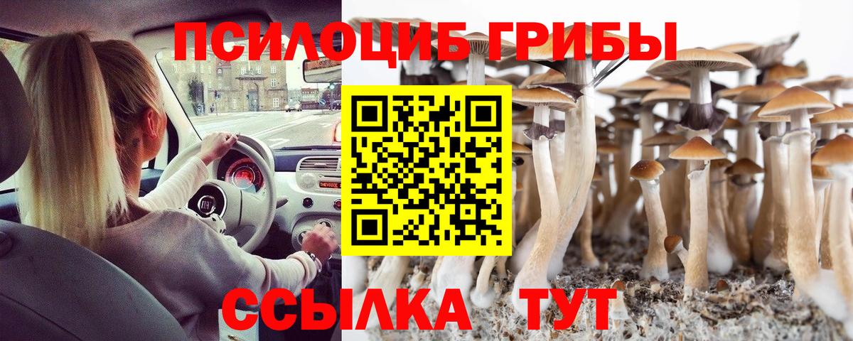 Псилоцибиновые грибы Magic Shrooms Муравленко